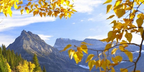 美国留学就业该注意哪些